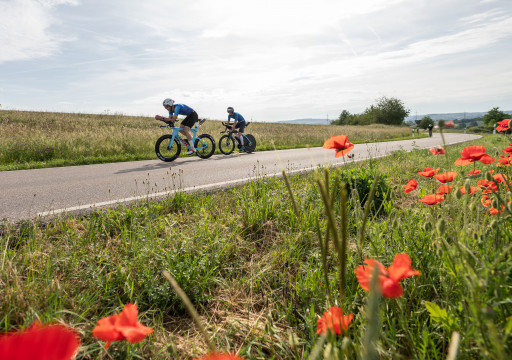 zwei Radfahrer auf der Starße, im Vordergund Klatschmohn